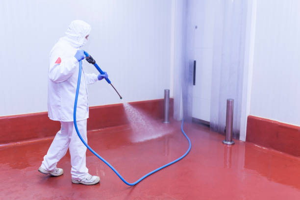 Best Soft Washing  in Cleora, OK
